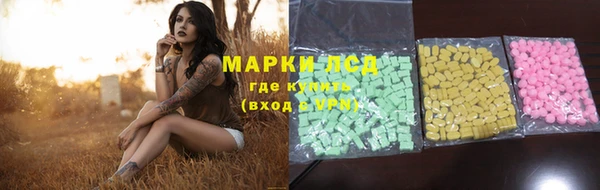индика Киренск