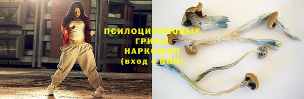 индика Киренск