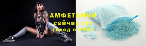индика Киренск