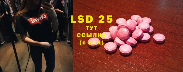 индика Киренск