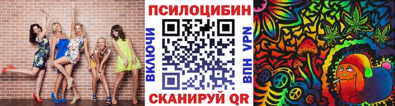 Купить  Сельцо  Псилоцибиновые грибы Cubensis 